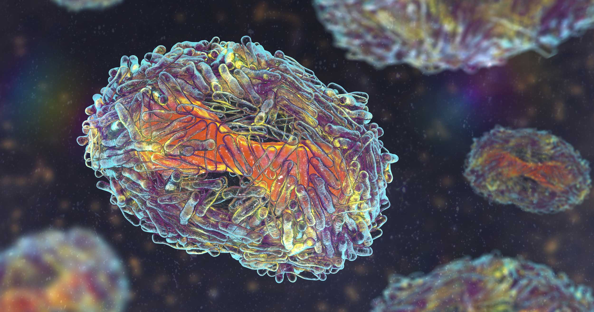 close up visual of microscopic virus