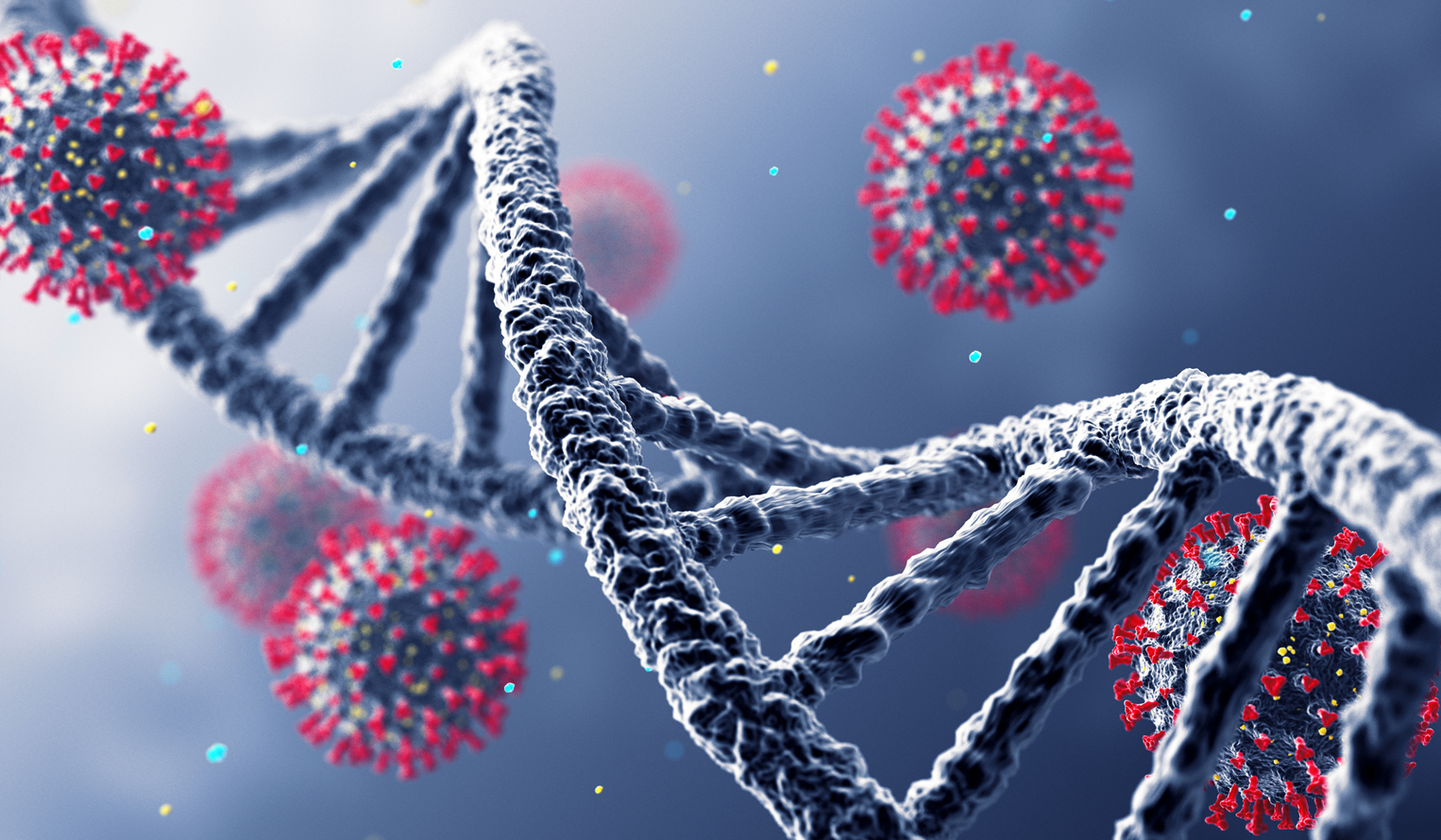several COVID-19 viruses float with a DNS strand