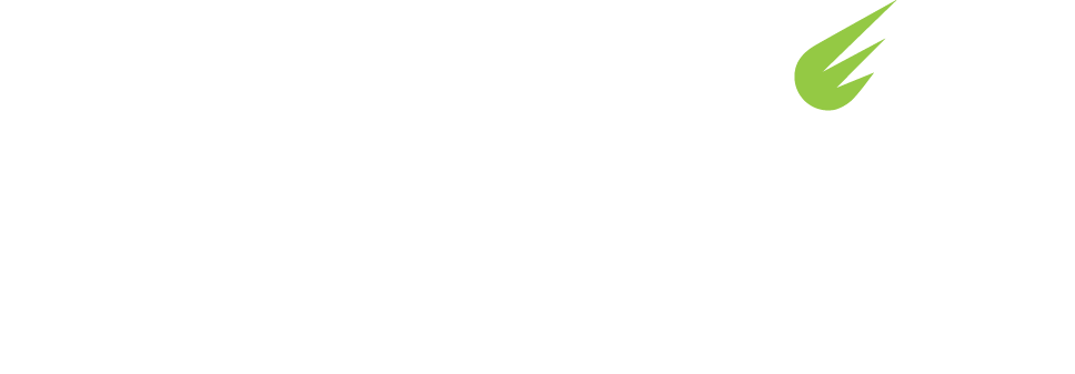  Noblis Logo