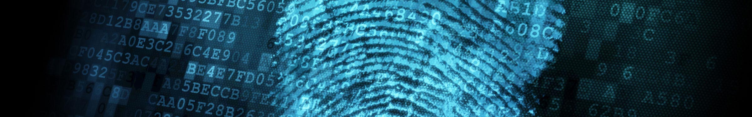finger print and code abstract image