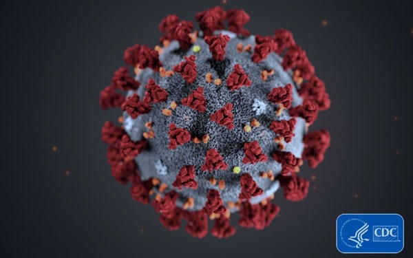 Scientists from Noblis and DBPAO Identify Unique Genetic Sequences of Coronavirus