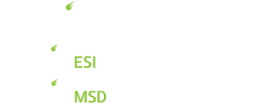 Noblis logo and logos of subsidiaries Noblis MSD and Noblis ESI