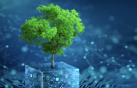 tree growing from block representing software with data networks and texture in the background