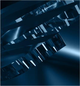 In-Line CTA Image