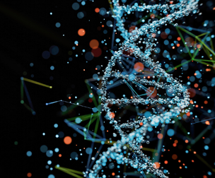 3D DNA structure