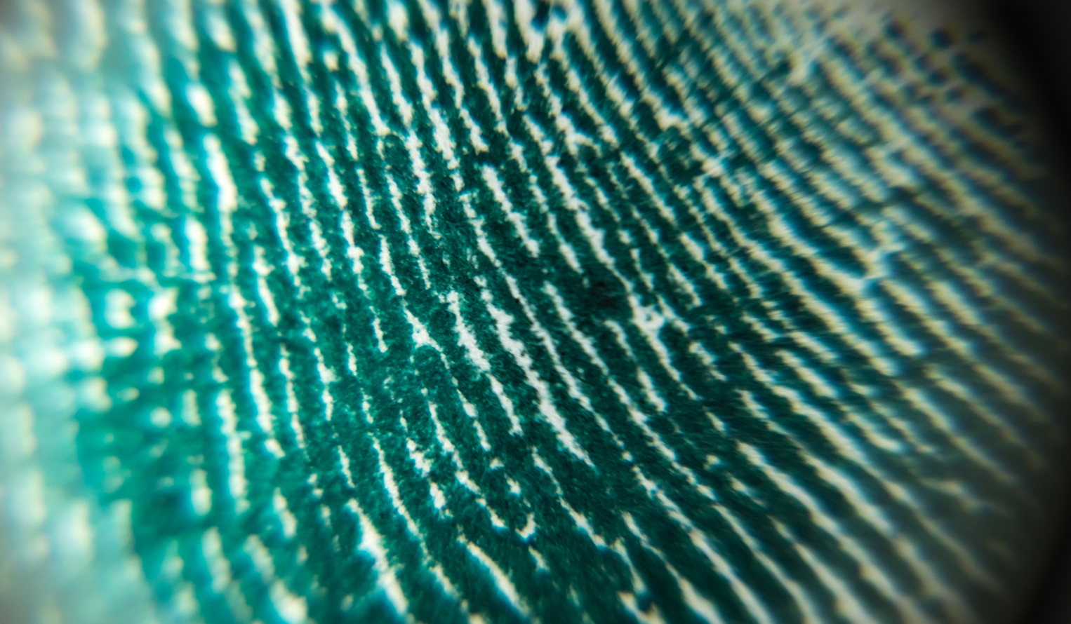 close up of a latent fingerprint
