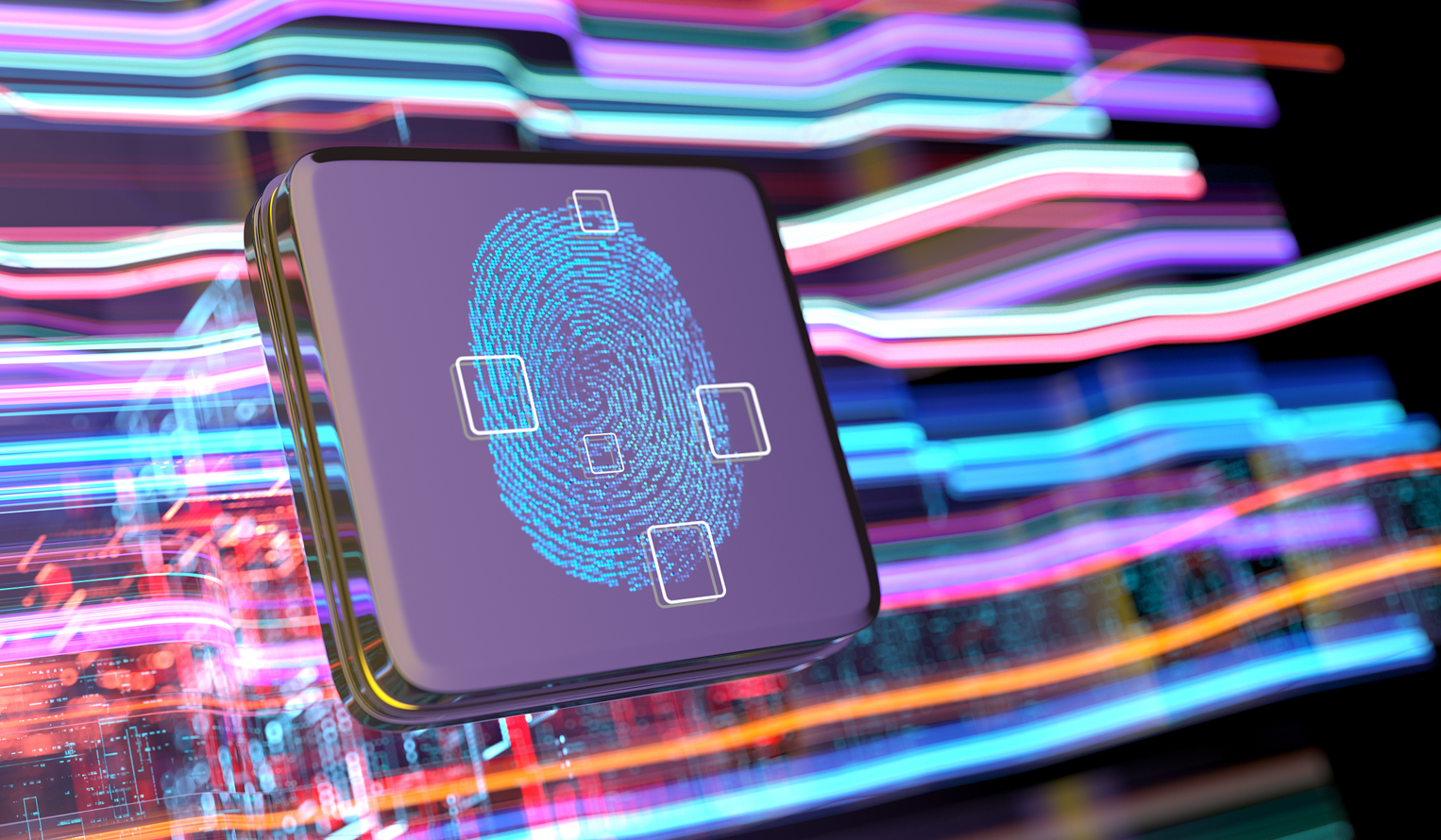biometric identity authentication with fingerprint