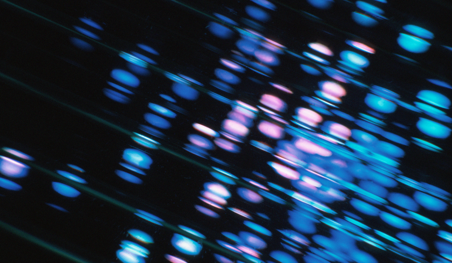 genomic sequence markers