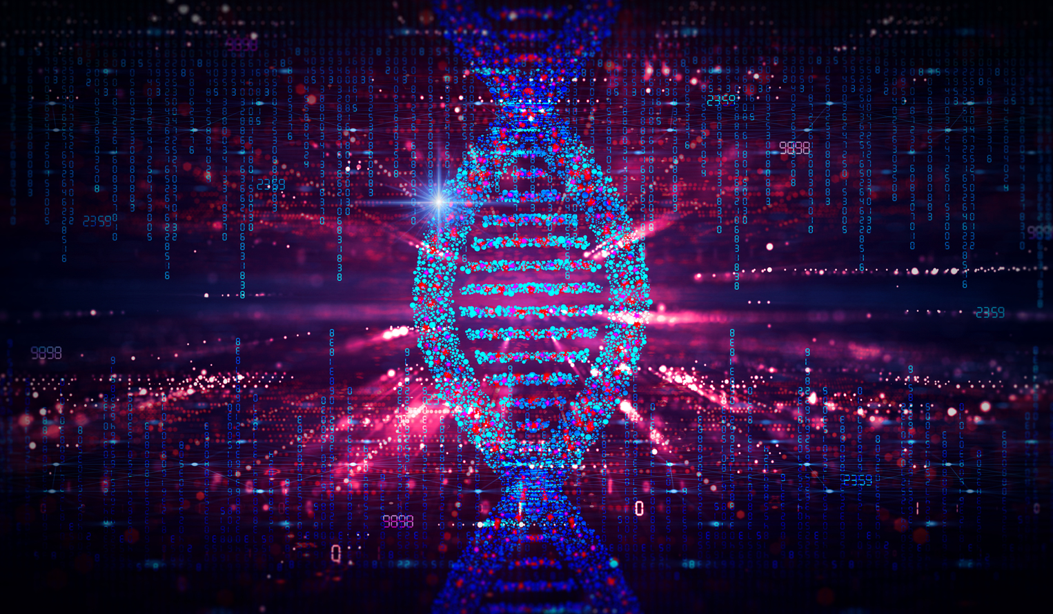 Mapping and analyzing a DNA genome with data structures