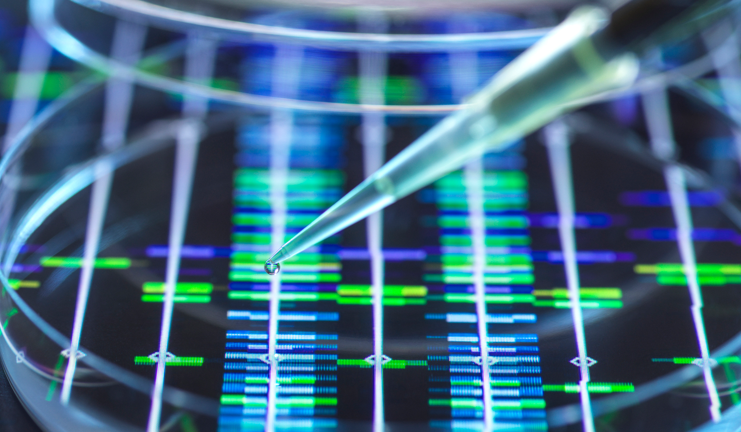 digital visualization of genomic markers