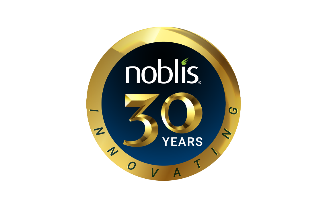 Noblis 30 Years Innovating - badge logo