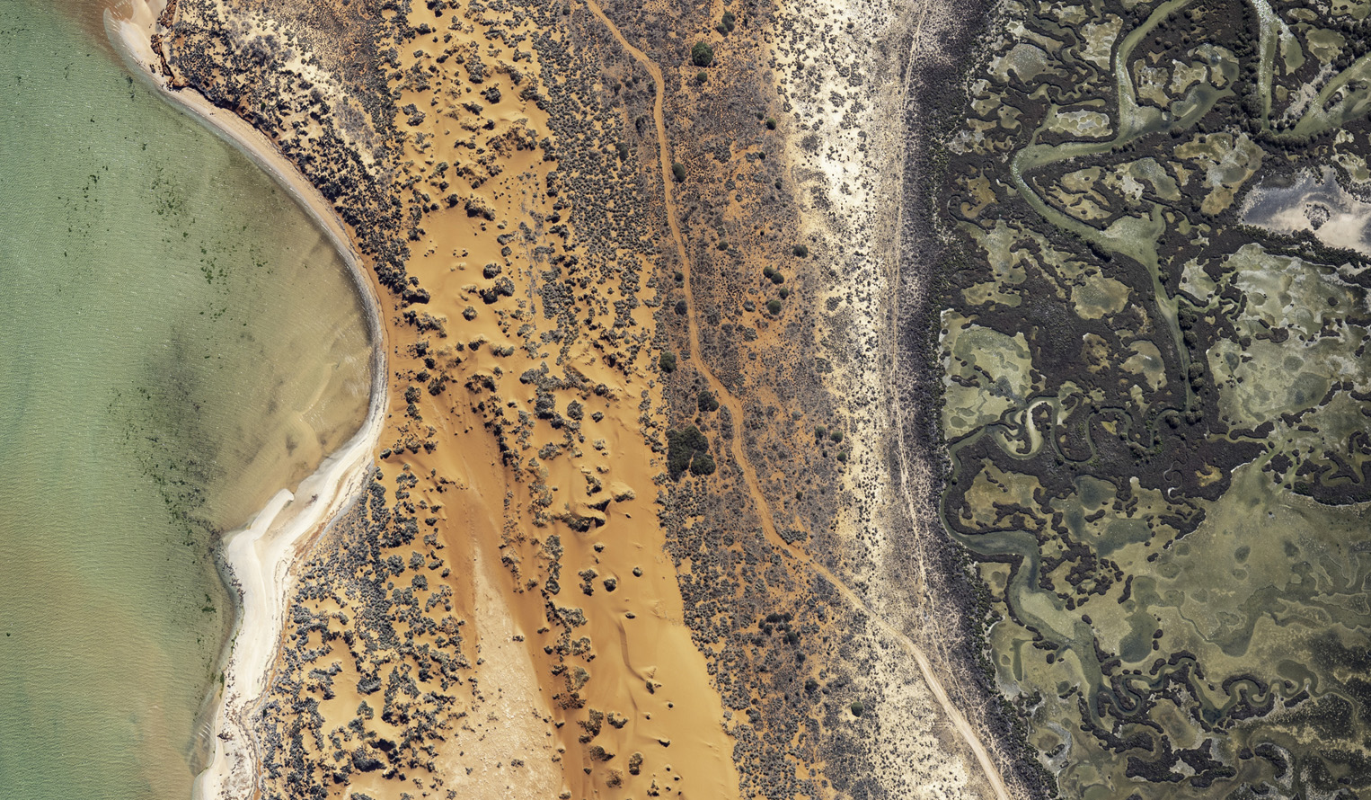 Aerial view of terrain s howing water, dirt, rocks and trees